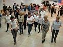 stferreolnov11 (9)